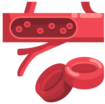 Increase blood cell production